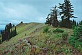 Oregon Butte in the Wenaha–Tucannon Wilderness