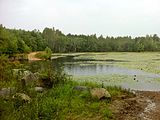 Pachaug Trail – 2 Great Meadow Brook Pond, Voluntown, CT.