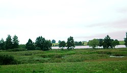 Wetlands and Leciškiai lake