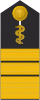 Admiralober­stabsarzt (Human medicine)