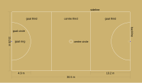 Your Image:Netball court.svg