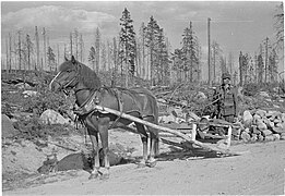A workman's travois, Finland 1941
