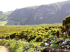 The crater face of the Guilherme Moniz caldera, on the eastern edge of the parish's frontier