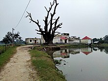 Grampanchayat Raj, Basuki Bihari North