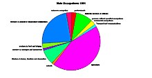 A Pie Chart to Show the Employment Structure for Males Living in Dunstall in 1881