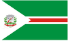 Flag of Tapejara, Paraná