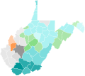 2020 West Virginia Supreme Court Division 2 election