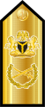 Admiral of the fleet (Nigerian Navy)[9]