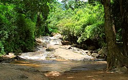 Mae Sa Waterfall, Doi Suthep-Pui National Park