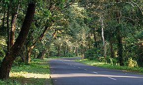 National Highway 31, Lataguri.jpg