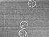 A noisy image showing a few bright dots marked by circles
