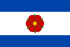 Flag of Hodonín
