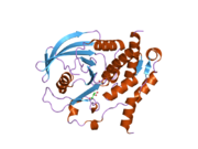 2gp0: HePTP Catalytic Domain (residues 44-339), S225D mutant