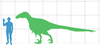 A size comparison image of Utahraptor with a human to scale