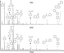 Pyrograms for the Truitjes Kraal (top) and Spitzkoppe (bottom) middens, showing the total ion current (TIC) with no sample pre-treatment. Compounds mentioned in the text are labelled as diamonds (styrene), circles (benzonitrile) and stars (benzamide).