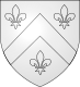 Coat of arms of Mogneneins