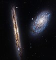 Interacting galaxies NGC 4302 and NGC 4298 both located 55 million light-years away.[8]