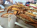 Image 25Marylanders steam blue crabs, usually in water, beer and Old Bay Seasoning. (from Culture of Baltimore)