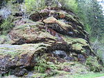 Exposed pillow lava in the Northern Oregon Coast Range