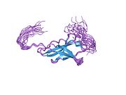 1uey: Solution Structure of The First Fibronectin Type III Domain of Human KIAA0343 protein