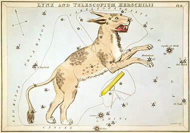 Lynx (constellation)