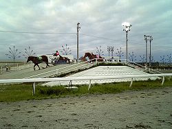 Ban'ei horses at Obihiro Racecourse