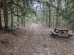 One of the trails with a bench, informational sign, and picnic table.