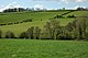 Hilly grazing farmland with trees and hedgerows with Cae Camp in the distance on the skyline
