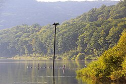 Allegheny Reservoir within Corydon Township