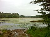 Pachaug Trail – Great Meadow Brook Pond, Voluntown, CT.