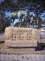 Horse Memorial in Port Elizabeth