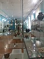 Museum of Vojvodina (interior exhibits)