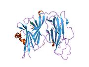 1yi9: Crystal Structure Analysis of the oxidized form of the M314I mutant of Peptidylglycine alpha-Hydroxylating Monooxygenase
