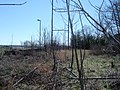 Abandoned K&T Branch, Behind Frankford Arsenal, 2006. Switch buried in weeds is one siding leading into the old arsenal complex