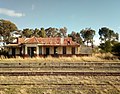 The Ruins of Petrus Steyn Train Station.