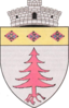 Coat of arms of Ocoliș