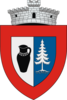 Coat of arms of Marginea