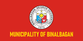 Flag of Binalbagan