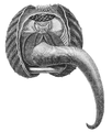 Illustration of Acanthocardia tuberculata from Natural History: Mollusca (1854), p. 271