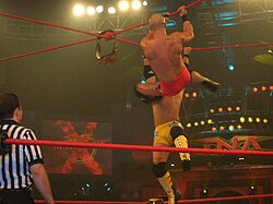 Two men, one in yellow trunks while the other in red trunks, battling, while hanging by red steel ropes, to retrieve a championship belt, which is suspended on the ropes