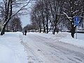 Beginning of Merimetsa street, between Tallinn Hippodrome and Tallinn Psychoneurology Hospital.