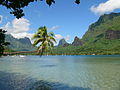 Image 33Cook's Bay on Moorea, French Polynesia (from Polynesia)