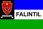 Flag of the F-FDTL