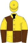Yellow and brown quartered, halved sleeves, yellow cap