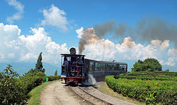 Darjeeling to Ghoom Heritage Narrow Gauge Train