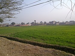 Greenery near Jallan