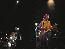 Jarabe de Palo in concert in 2005