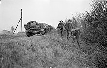 German prisoners are brought in along a ditch past Universal Carriers of 6th Royal Welch Fusiliers during fighting around 's-Hertogenbosch