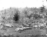 black and white photo of a foothill