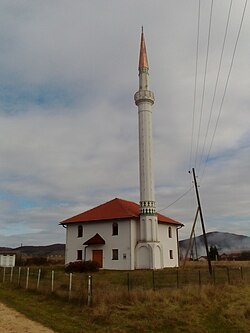 Mosque in Novoseoci